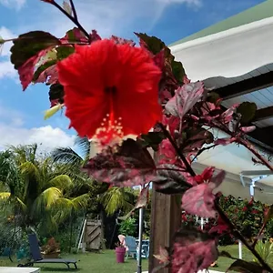 Appartement Zen Paradise, Sainte-Anne (Grande-Terre)